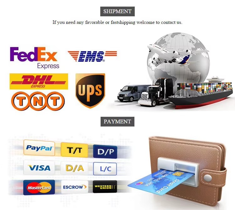 Electric 13PH Industrial Generator Silent Recoil Power Diesel & Gas Single-Cold Gasoline Equipment Model AC