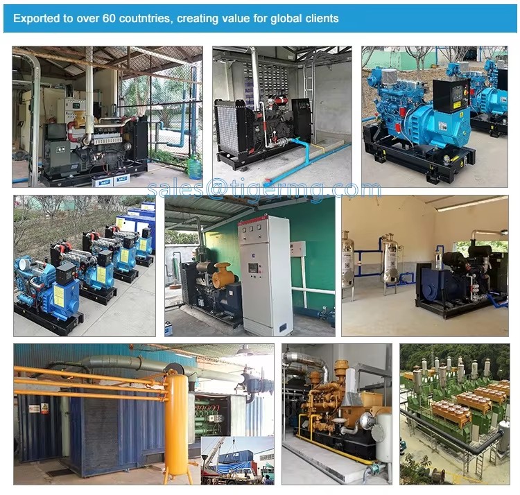 Natural Gas Generator Prices with Different Brand Gas Engine