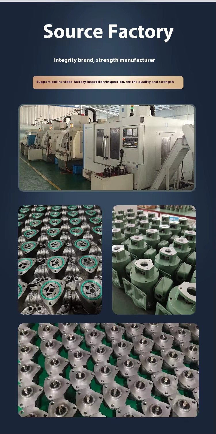 TOP-10A High Suction Electric Oil Gear Pump 380V Adjustable Direct Plug Cycloid Pump Triangle Lubrication Top 10 Fittings Type