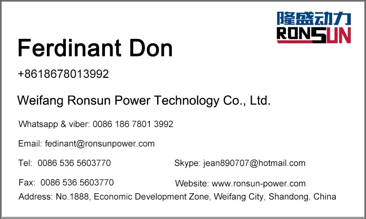 Hot Selling 1mw Biomass Gasification Power Plant for Sale with CHP Device