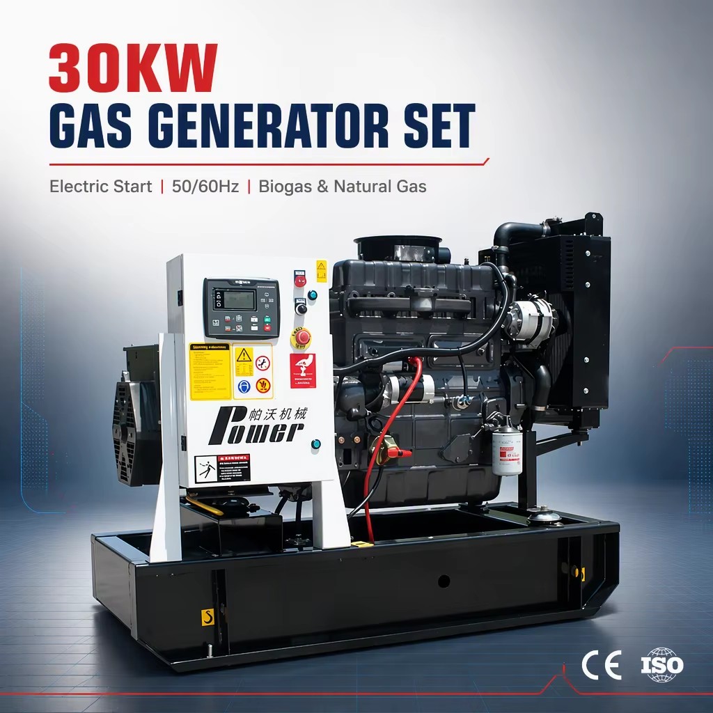 Natural Gas Generator Set 30KW Electric Start Reliable Quality Energy Saving CE Certified IP67