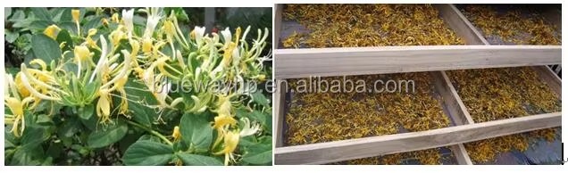 Energy-Saving Air to Air Heat Pump Fruit Drying Equipment-Inergrated Type