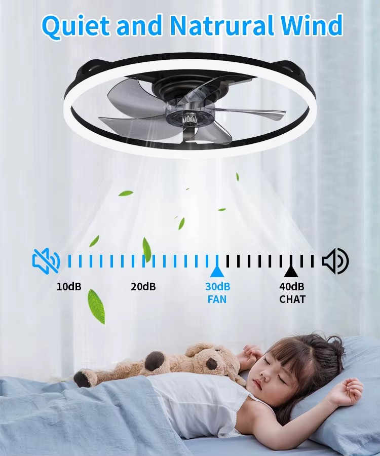20 Inch Low Profile LED Ceiling Fan Electric Remote Control 6 Fan Speeds 3000-6500K LED Lights BLDC Motor Energy Saving Bedroom