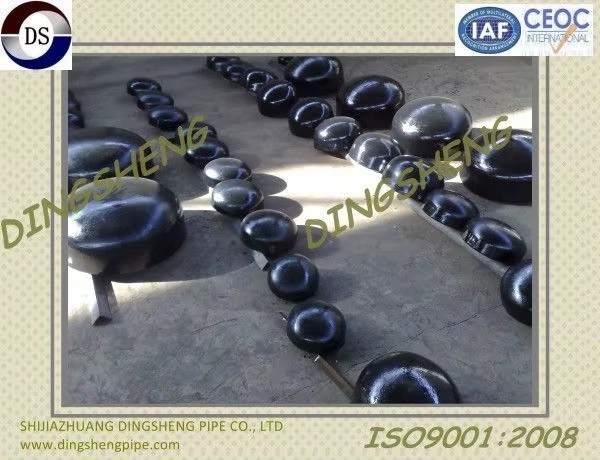 Seamless Carbon Steel A234 Wpb 12 Inch Sch40 Pipe Fitting End Plug with ASME Standard