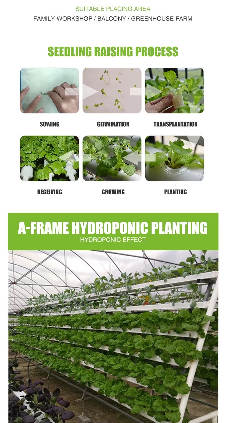 Factory Cheap Price Hudroponic Hydroponic Nft Hydroponic System