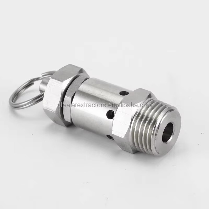 SS304 Stainless Steel Sanitary Air Compressor Safety Relief Valve