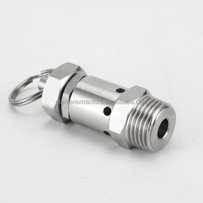 Stainless Steel Pressure Reducing Valve With 1/4"NPT Mini Relief Valve for Solvent tank in Extraction
