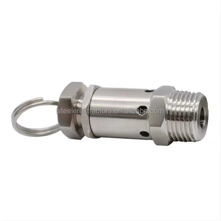 Mini Exhaust 1/4"1/2" BSPT NPT Male Thread Stainless Steel SS304 0.5-10Bar Pressure Relief Air Release Valves FKM Seat Seal