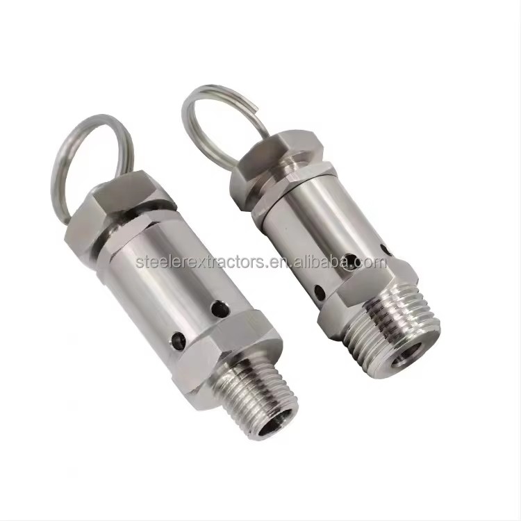 Mini Exhaust 1/4"1/2" BSPT NPT Male Thread Stainless Steel SS304 0.5-10Bar Pressure Relief Air Release Valves FKM Seat Seal