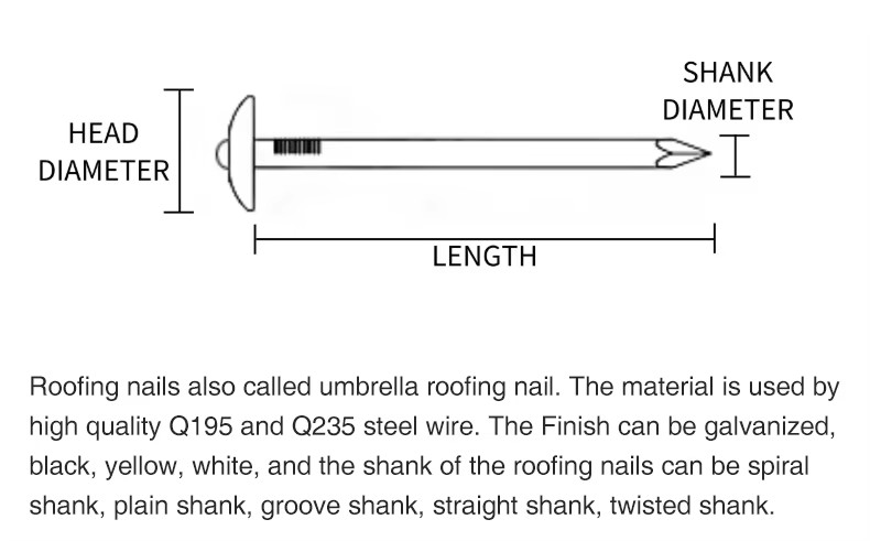 Wholesale Steel Roof Nails with Cap Umbrella Type Head with Smooth Shank for Roofing