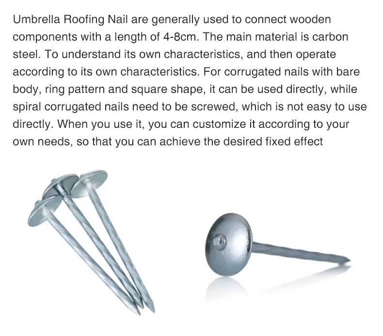 Wholesale Steel Roof Nails with Cap Umbrella Type Head with Smooth Shank for Roofing