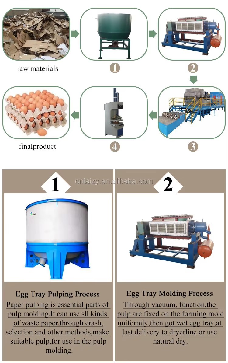 Pulp Egg Tray Machine / Recycling Waste Paper Egg Tray Making Machine / Equipment for the Production of Egg Carton