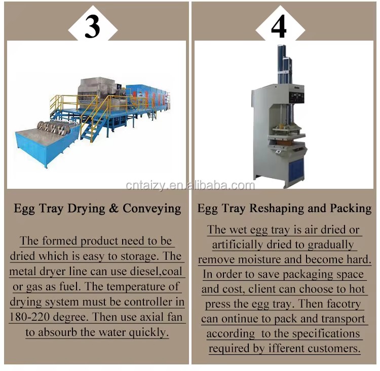 Pulp Egg Tray Machine / Recycling Waste Paper Egg Tray Making Machine / Equipment for the Production of Egg Carton