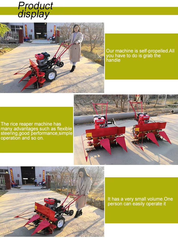 Gasoline Mini Paddy Rice and Wheat Cutting Machine /mini Soybean Harvester