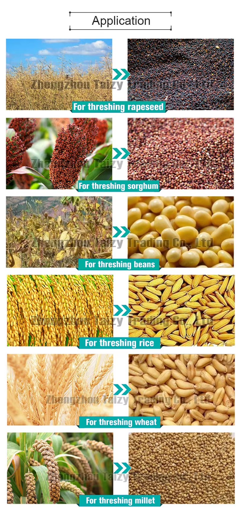 Herbs Multifunctional Thresher Widely Corn Soybean Barley Rice and Wheat Thresher