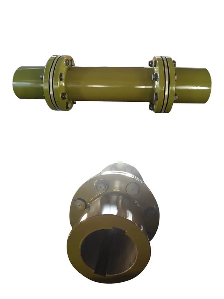 Densen Customized Boat Flexible Shaft Coupling H Type Shaft Coupling High Quality Disc Coupling