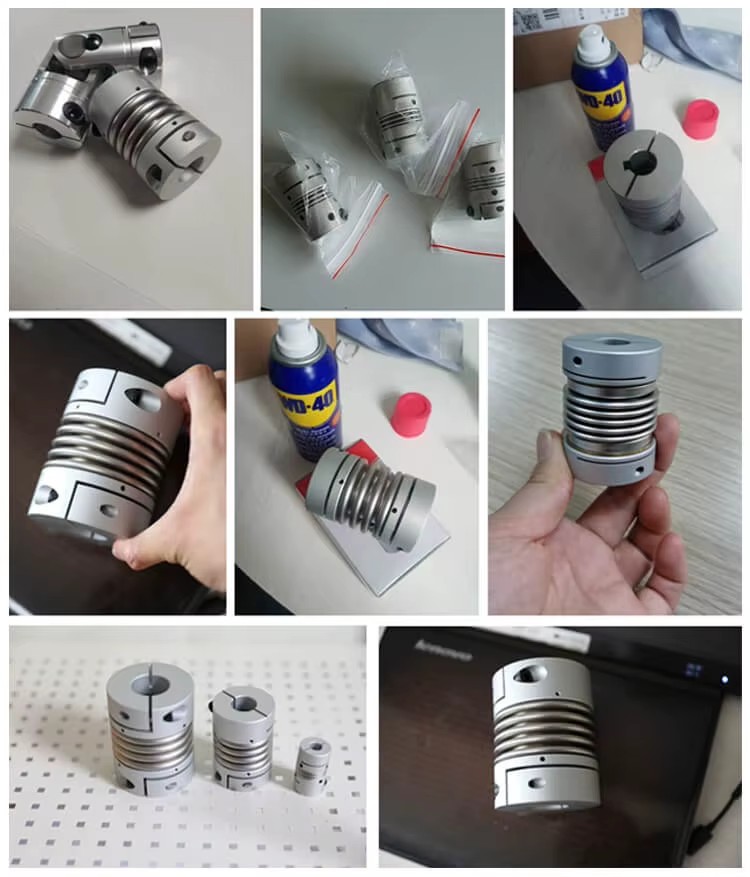 Densen Customized Motor Single Disc Flexible Shaft Coupling