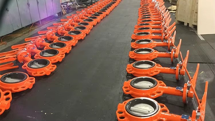 PN10 PN16 GGG50 Wafer & Lug Type Butterfly Valve, DN50-DN600 Resilient Seated Concentric Valve for Industrial Pipelines