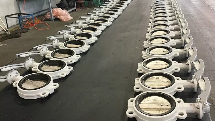 PN10 PN16 GGG50 Wafer & Lug Type Butterfly Valve, DN50-DN600 Resilient Seated Concentric Valve for Industrial Pipelines