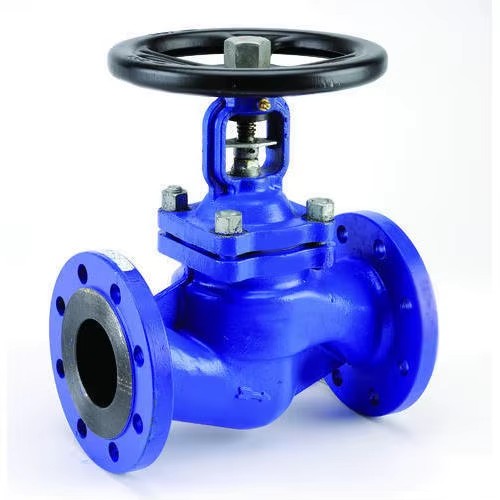 High Quality PN16 6 Inch Manual Globe Valve with Bellow Sealing Check Valve