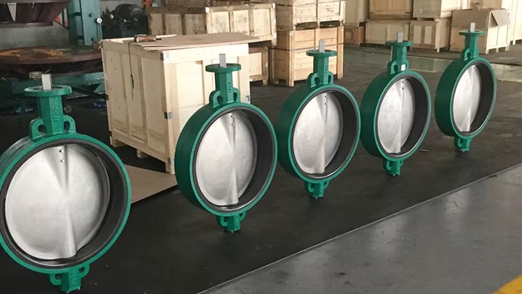 PN10/16 Manual Water 6 Inch 4 Inch Ptfe Stainless Steel Wafer Butterfly Valve