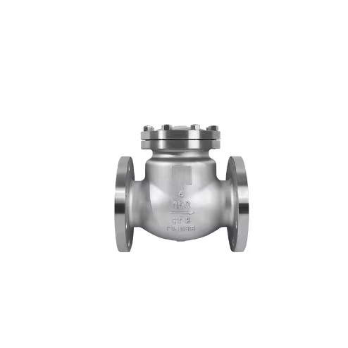 Swing Check Valve Stainless Steel Wenzhou High Resilient Sealing Manual Operated DN100 EPDM Flange Base ANSI/DIN/JIS Temperature