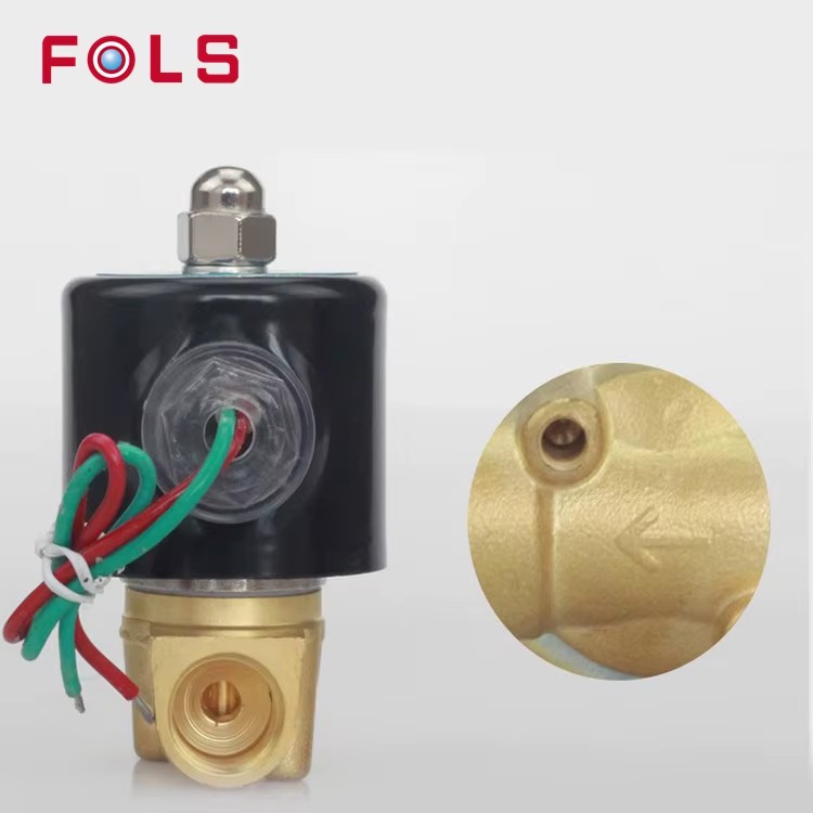 DN25 1 Inch 2W-250-25 Normally Closed Brass AC220V DC12V DC24V Direct-acting Electric Solenoid Valve Pneumatic Valve