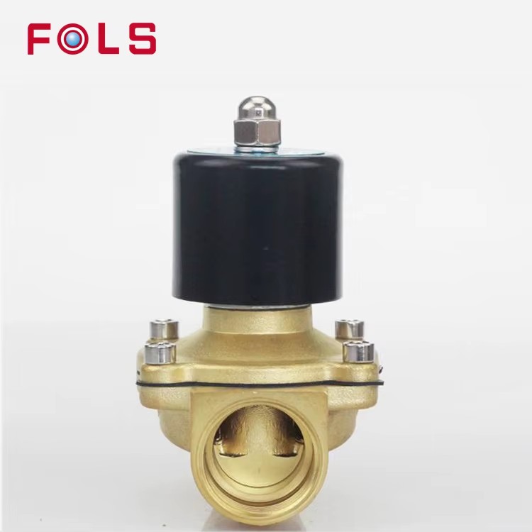 DN25 1 Inch 2W-250-25 Normally Closed Brass AC220V DC12V DC24V Direct-acting Electric Solenoid Valve Pneumatic Valve