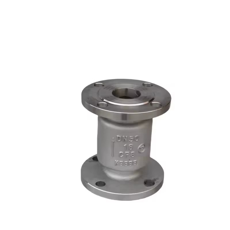 OEM Custom 2-Inch Flange Manual Check Valve -made SS304 SS316L H42W-16P Stainless Steel High Quality Check Valves