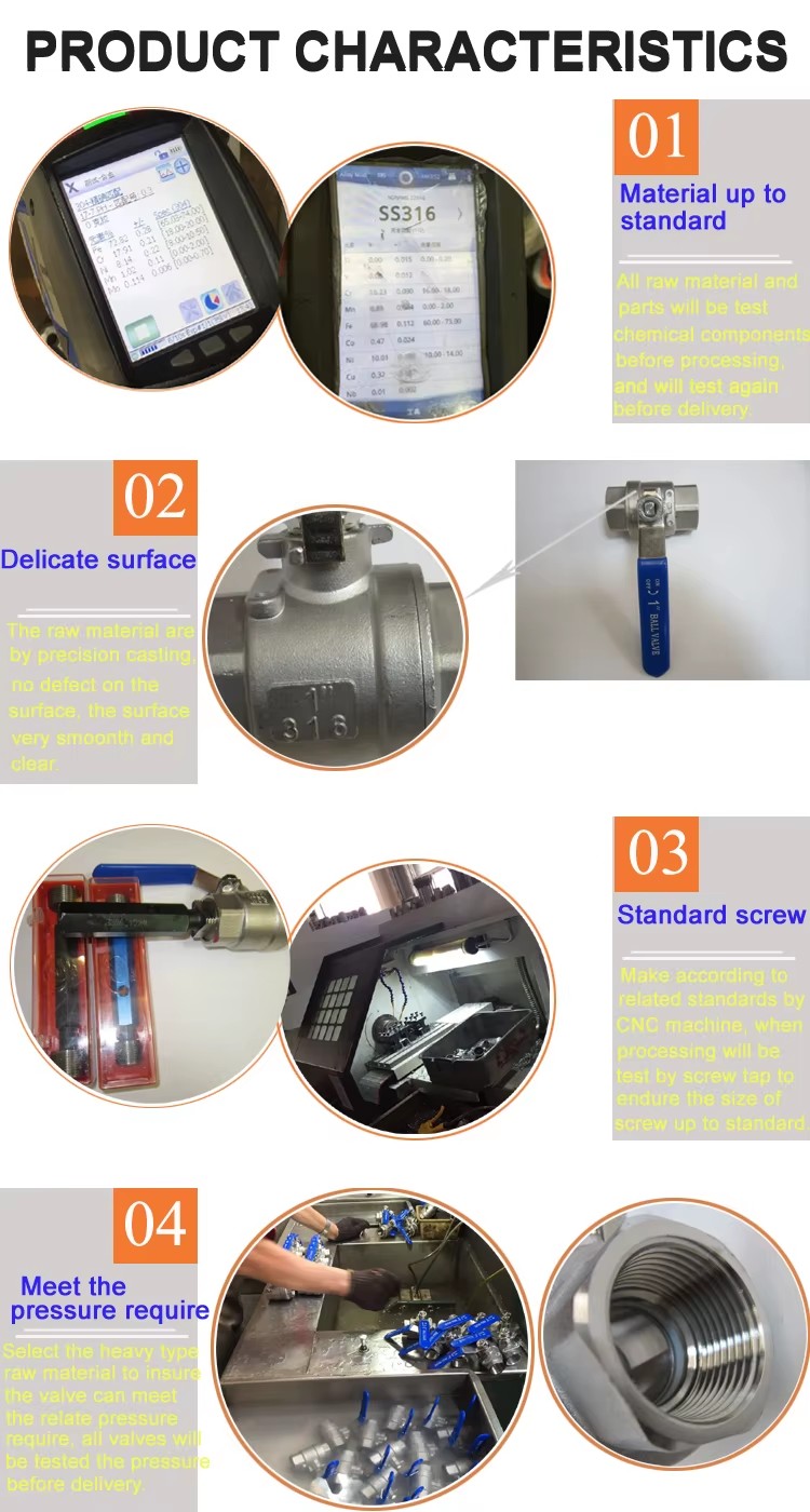 Stainless Steel CF8M Vertical One-Way Threaded Check Valve