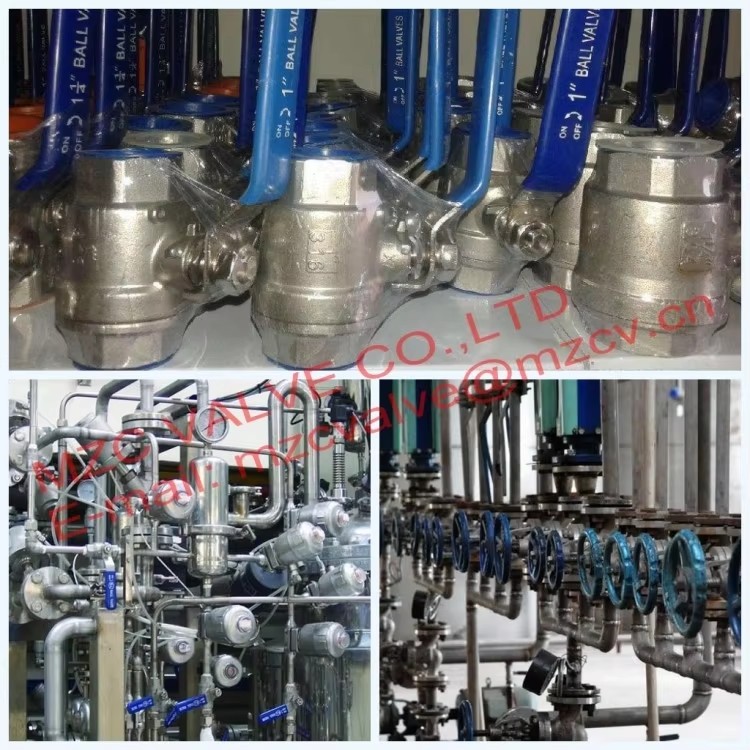 Stainless Steel CF8M Vertical One-Way Threaded Check Valve