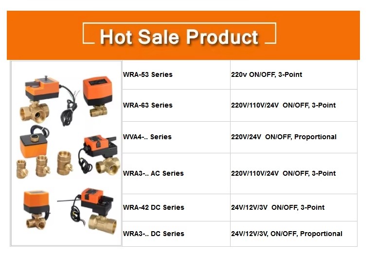 Heat Pump Heater Manual Operation AC220V 2 Way Motorized Ball Valve 3 Way Water Valve