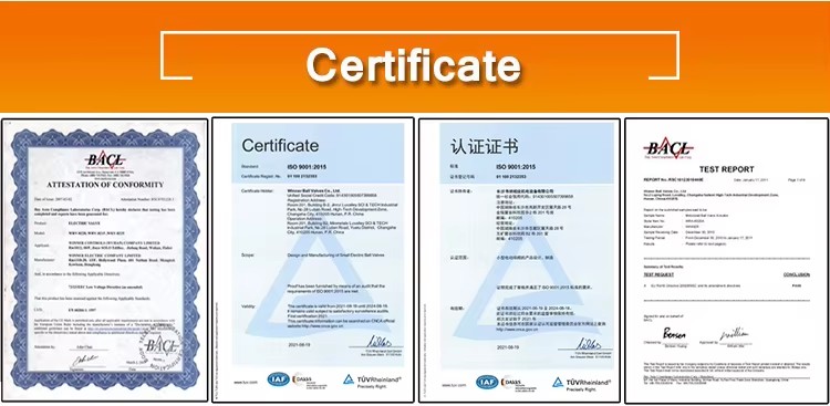 Winvall ISO9001 HVAC System 230VAC DN20 Electric Motor Control Valve Actuator 2way Mini Motorized Ball Valve