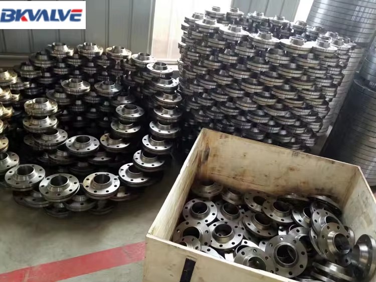 Pipe Fitting Weld Neck Stainless Steel so Flange