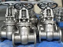 Product Importer Gallery 02 · cd261ac50a