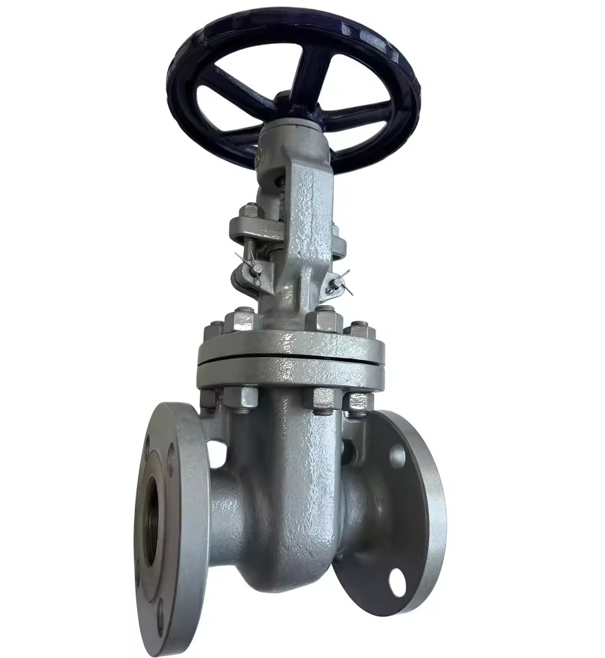 Product Importer Gallery 04 · 0f1d80a94f