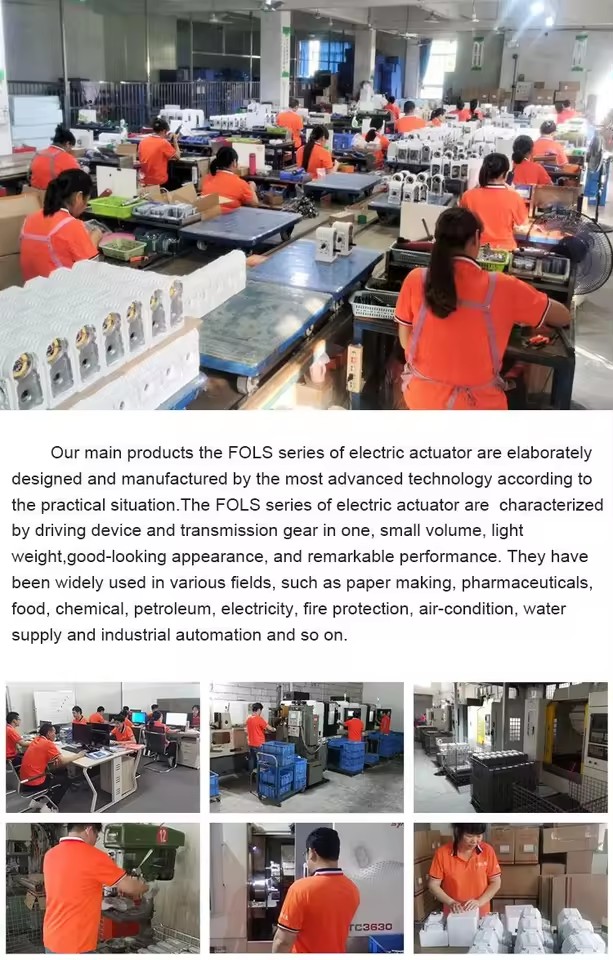 Product Importer Gallery 04 · 841f86d1a5