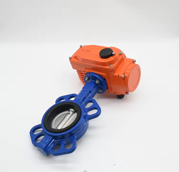 Product Importer Gallery 01 · 779781031b