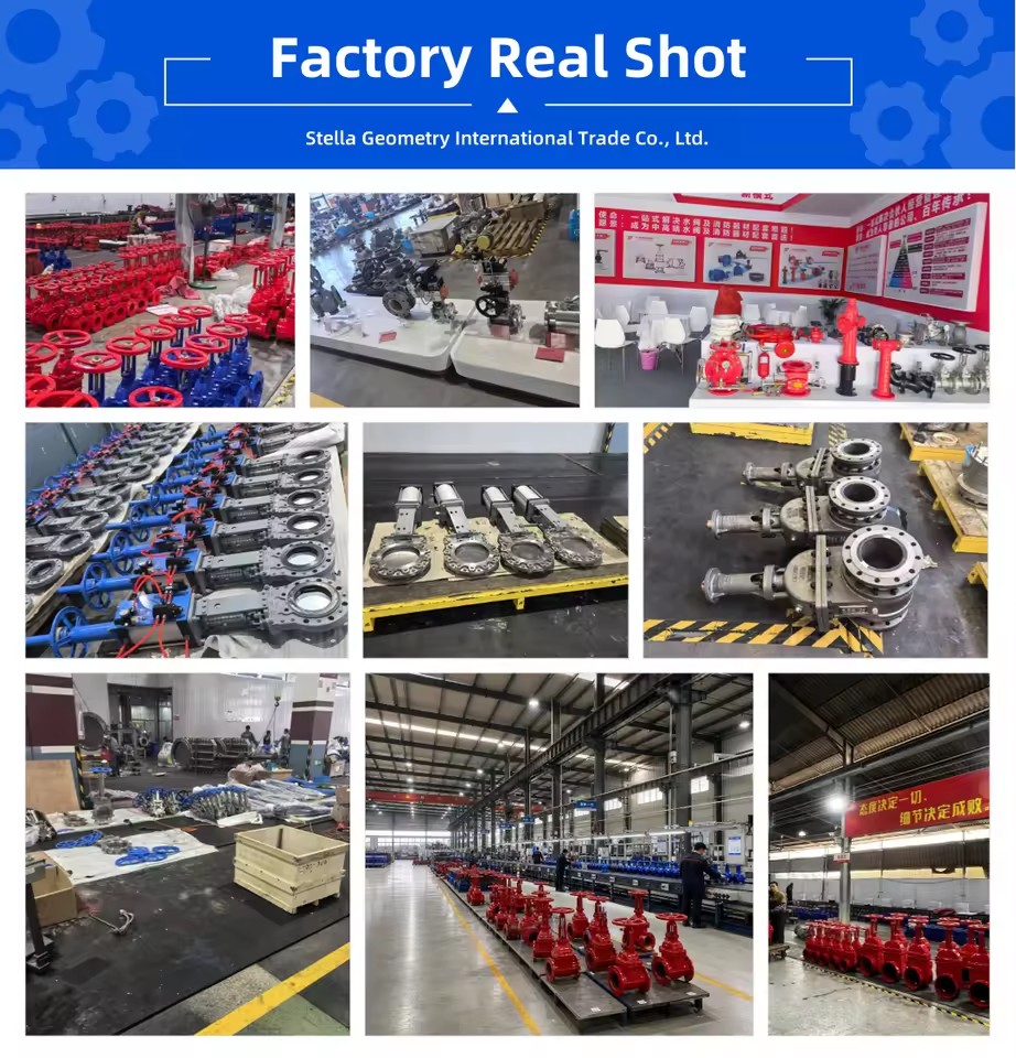 Product Importer Gallery 05 · 008f7155c9