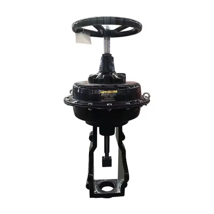 Product Importer Gallery 01 · 554aed2e3b