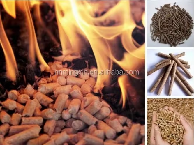 Product Importer Gallery 04 · c373d7354f