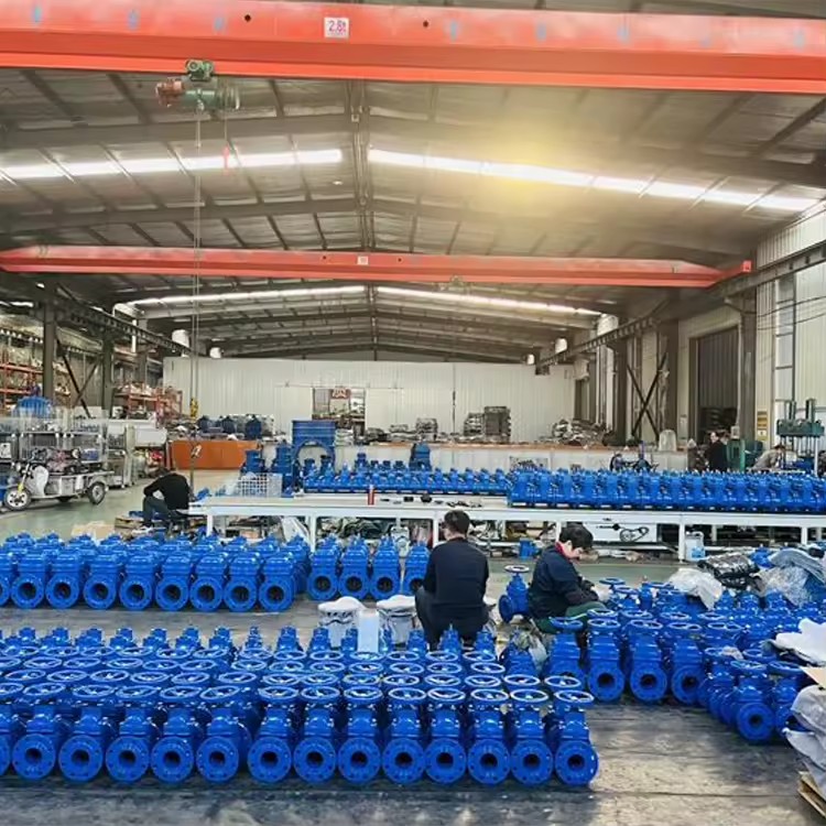 Product Importer Gallery 05 · 1d2002bf5e