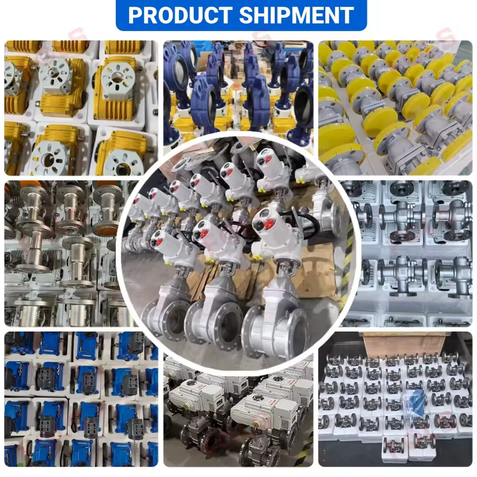Product Importer Gallery 03 · 798a62263a