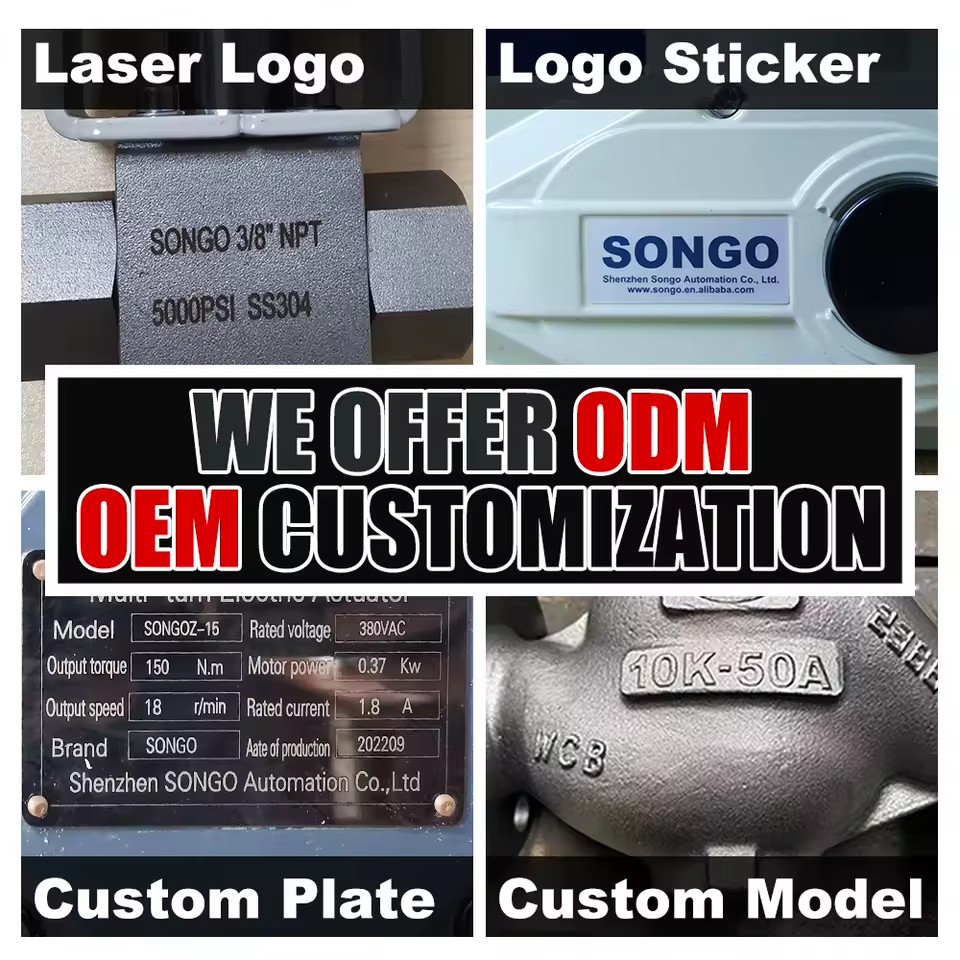 Product Importer Gallery 05 · 305b5c08f2