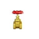 Product Importer Gallery 01 · b84ee54a91