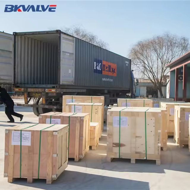 Product Importer Gallery 05 · d2f8843dae
