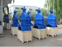 Product Importer Gallery 03 · 2860208788