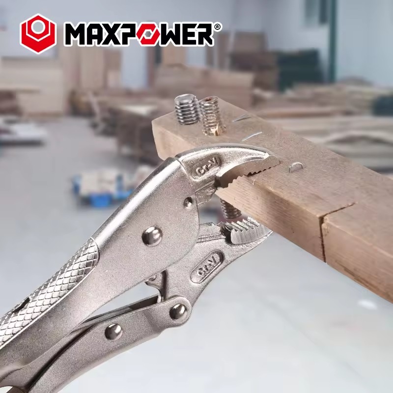 Product Importer Gallery 04 · f80597bf73
