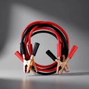 Product Importer Gallery 02 · 0a4aeaea38