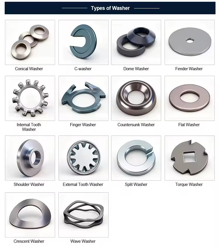 Product Importer Gallery 03 · 483219745c